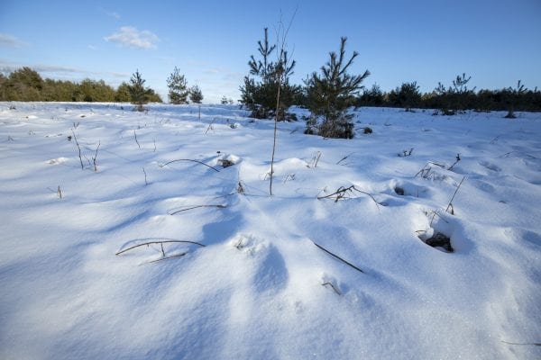 The Meadow Trail at Dacy Meadow Farm. Photo by Mike Lynch