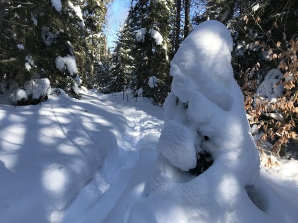 Snow on Duane Nature Trail