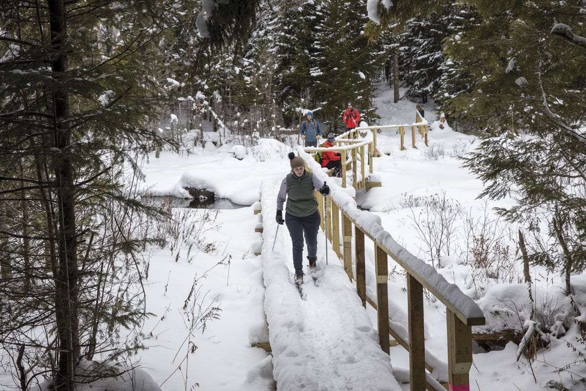 foxy brown ski trail