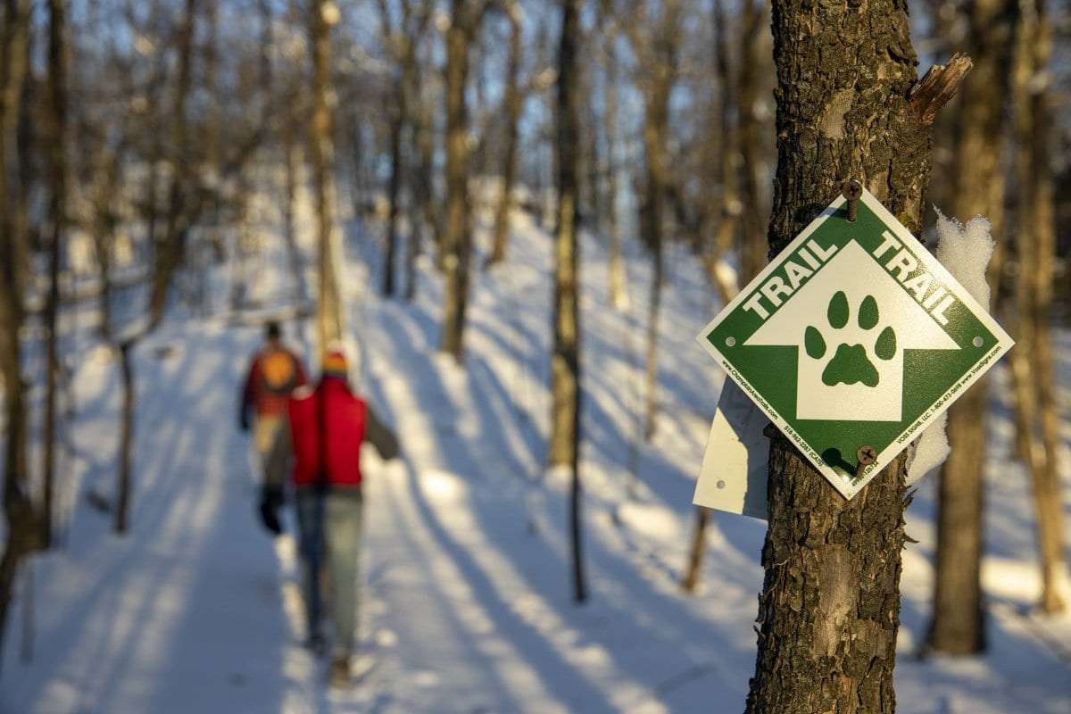 skiing on a CATS trail