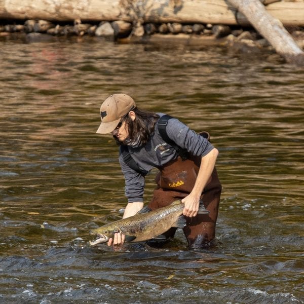 Mn with a salmon