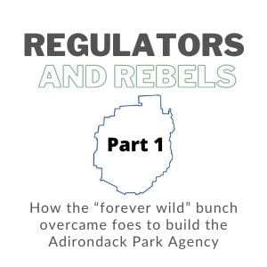 regulators and rebels logo