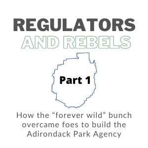 regulators and rebels logo