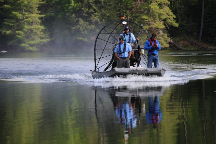 Minerva Lake herbicide treatment