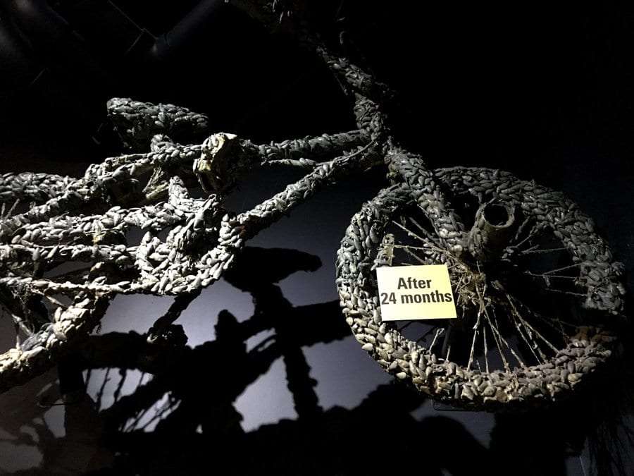 A zebra mussel-encrusted bicycle pulled from Lake Champlain.