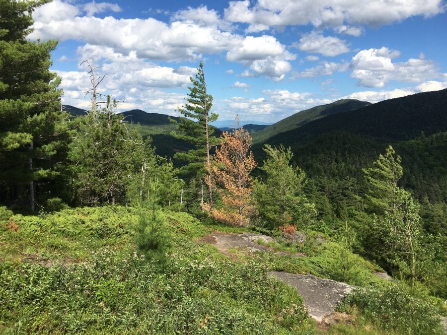 Baxter Mountain