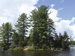 St Regis pond