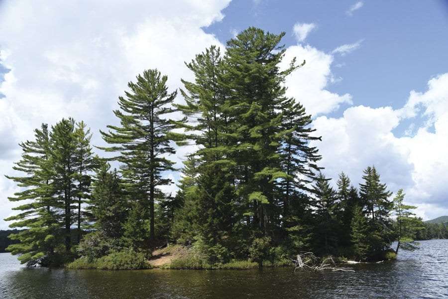 St Regis pond