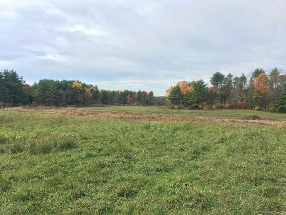 Lake George Land Conservancy buys land to protect key waters
