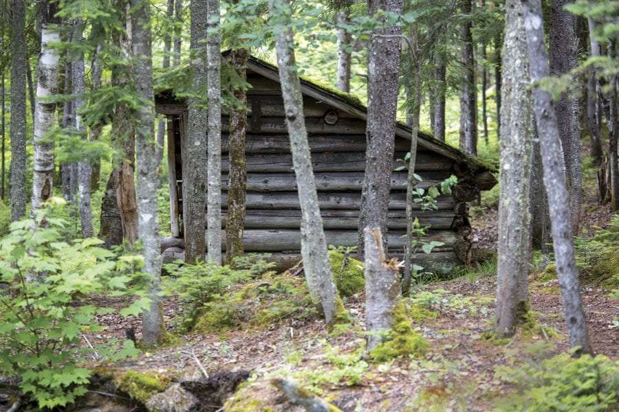 cold river lean-to