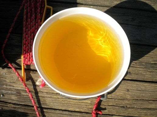 Tinted water scooped from Twitchell Lake in the western Adirondacks.