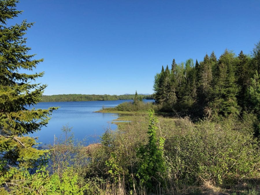 Rollins Pond can be seen from several points along the future rail trail. Photo by Phil Brown