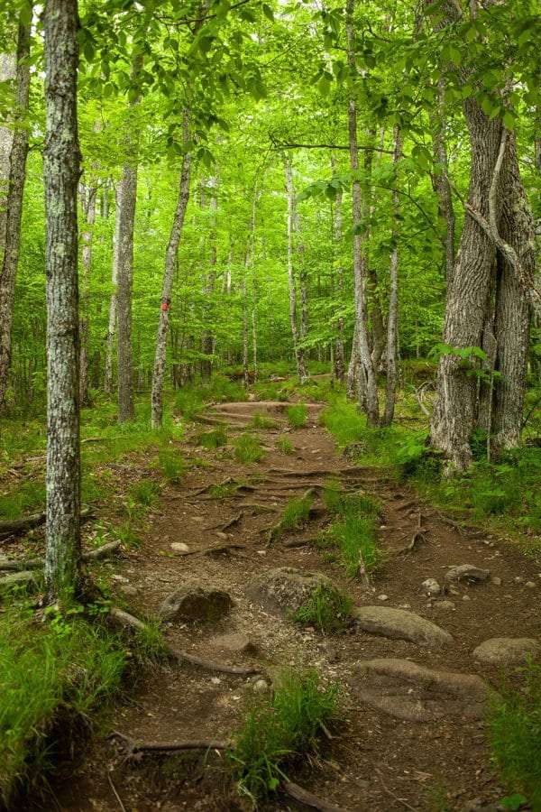 Baker Mountain Trail.