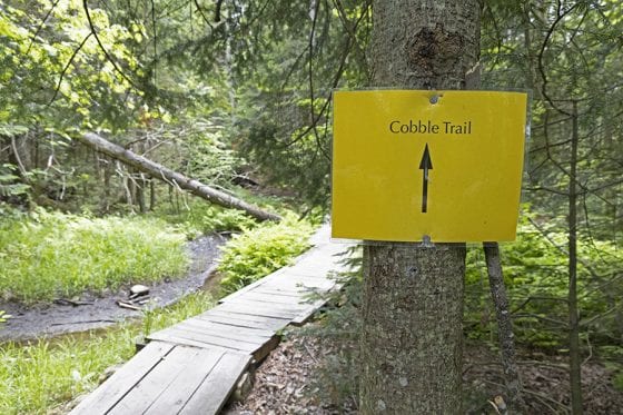 Popular Lake Placid trail to get new start