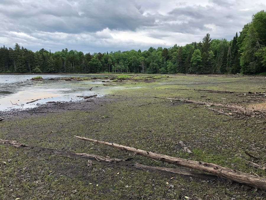 Hitchens Pond