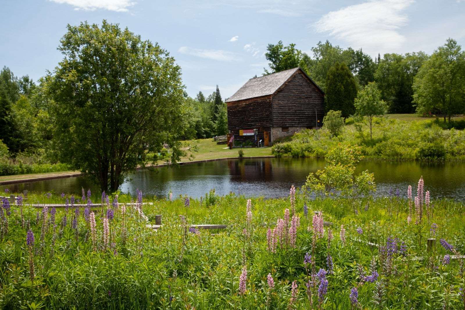 The barn and pond at John Brown Farm State Historic Site.