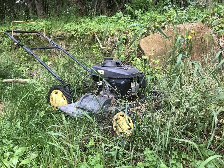 Lawnmower in tall grass.