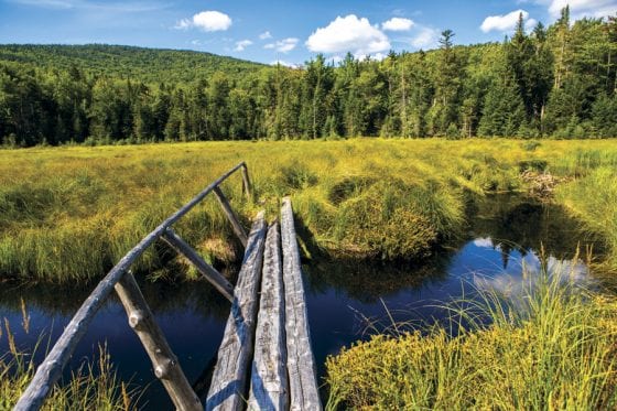 Social long-distancing on the Northville-Placid Trail