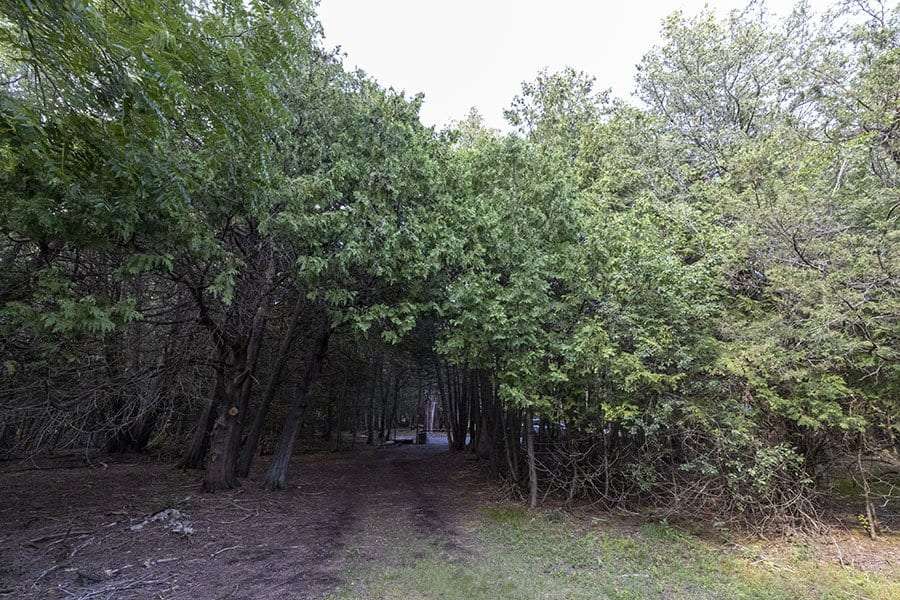 Essex Quarry Nature Preserve in Essex, N.Y.