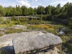 essex quarry