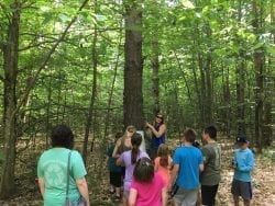 kids in the woods