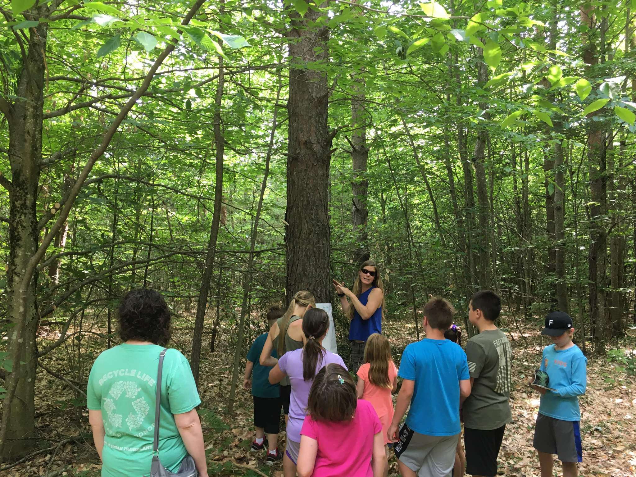 kids in the woods