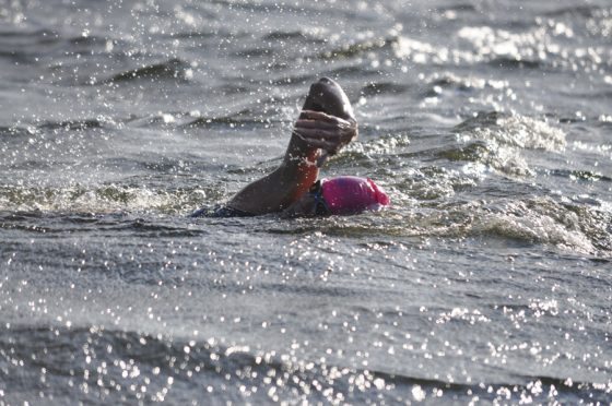Charlotte Brynn marathon swimmer
