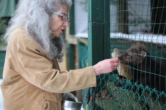 Violations and health complications temporarily shutter Adirondack Wildlife Refuge