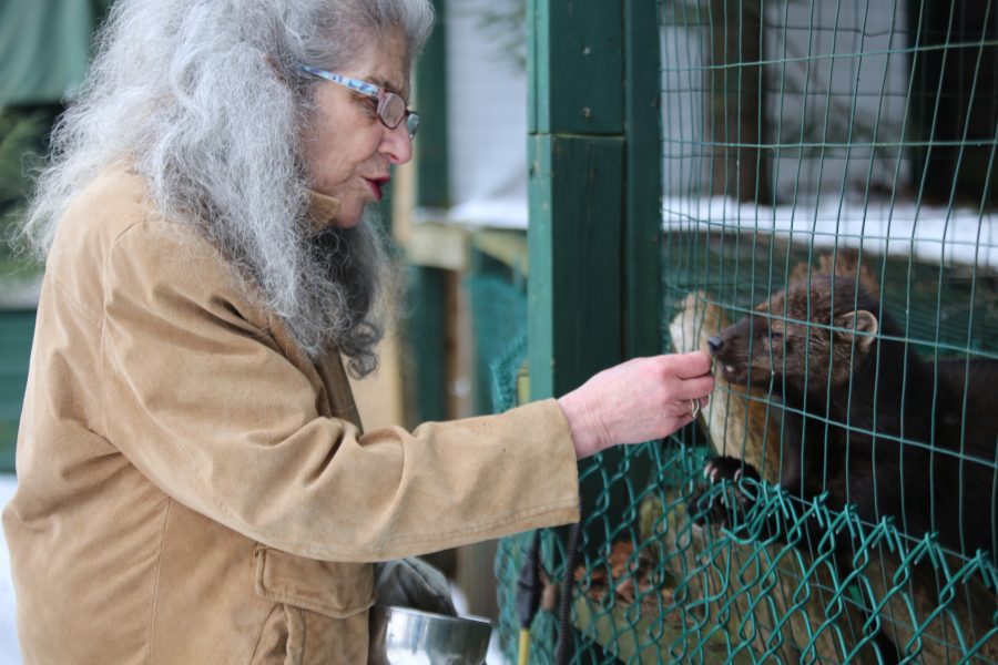 Wendy Hall co-founder of Adirondack Wildlife Refuge