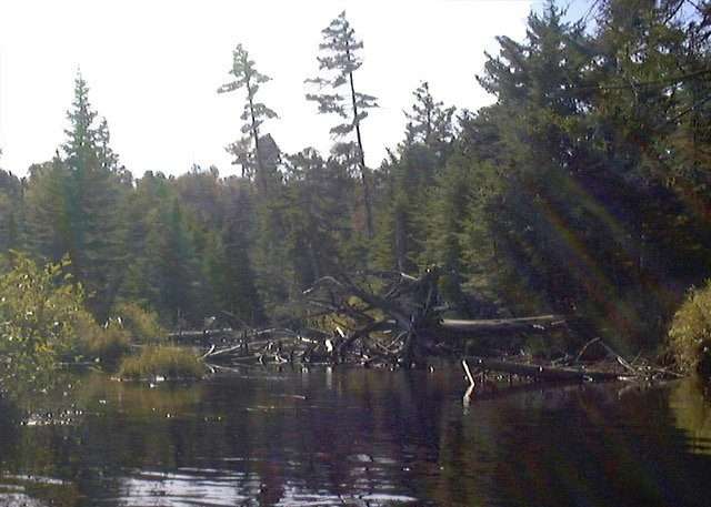 oswegatchie paddle