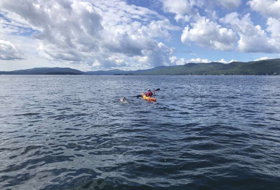 charlotte brynn swimming