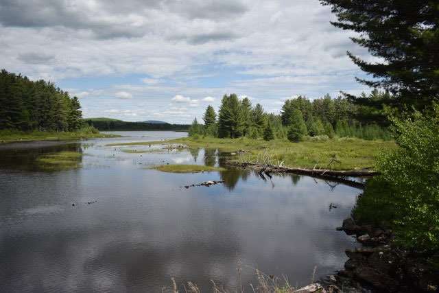 grasse river flow