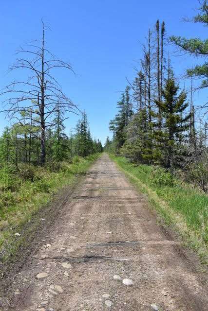 former cranberry lake rail bed