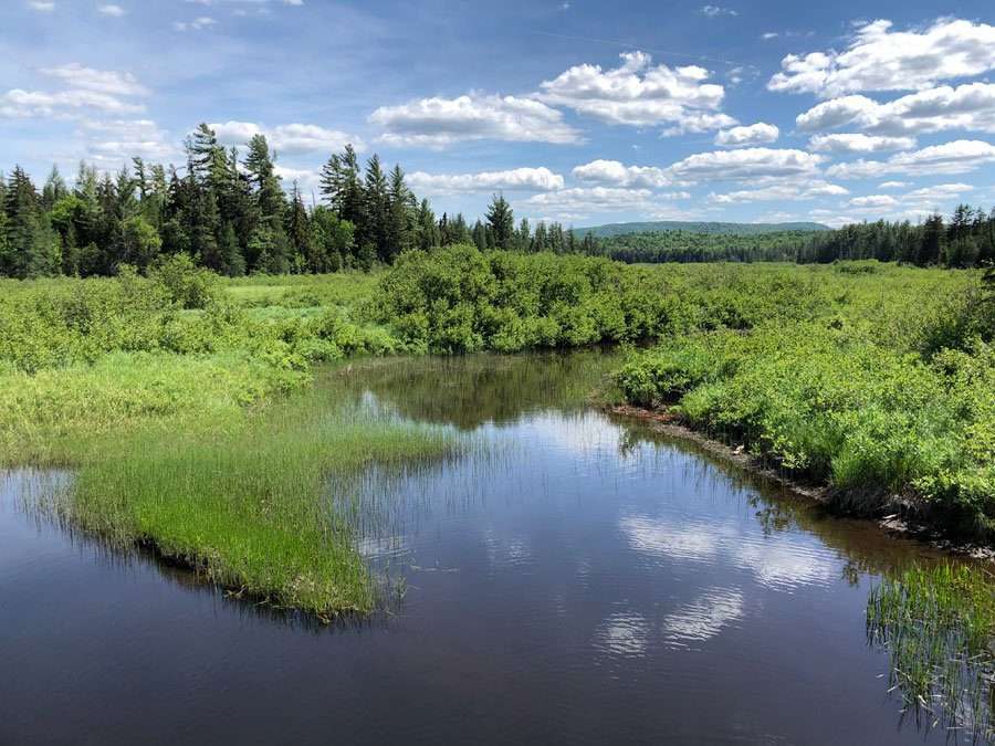 grass river bridge