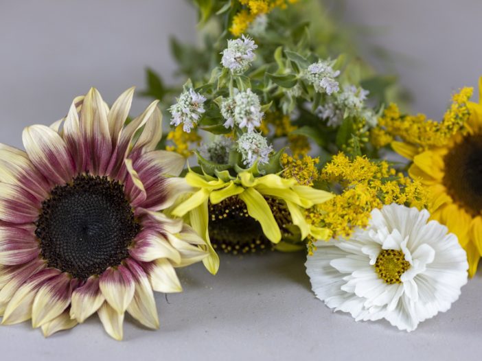 Flowers from Sunwarm Gardens