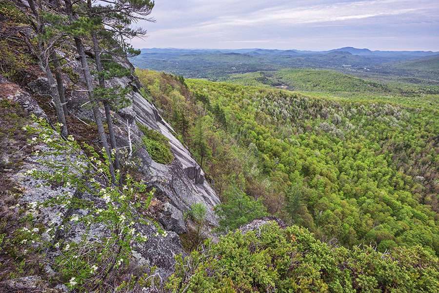 view from moxham mountain