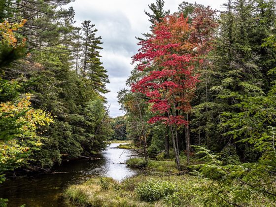 Five fall hikes to get you ready for leaf peeping season