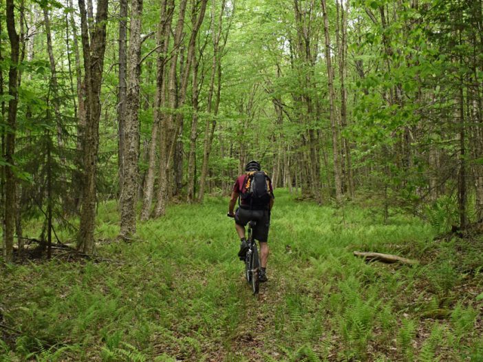 Woods biking to county line monument