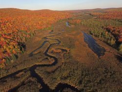 deer river drone shot