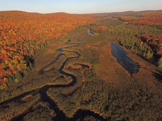 ‘Other-worldly’ isolation along the Deer River Meadows