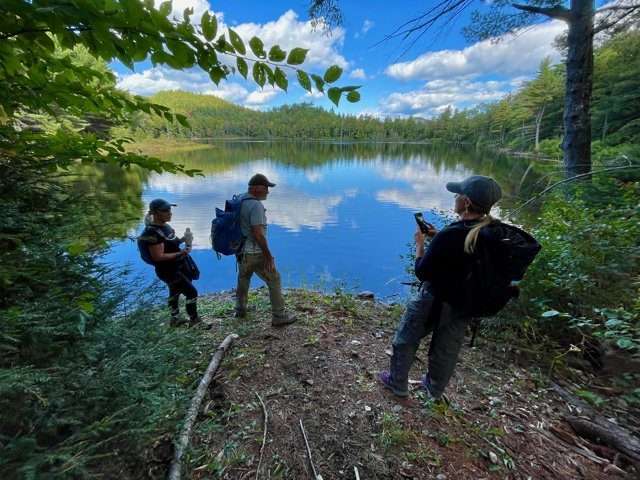 clear pond