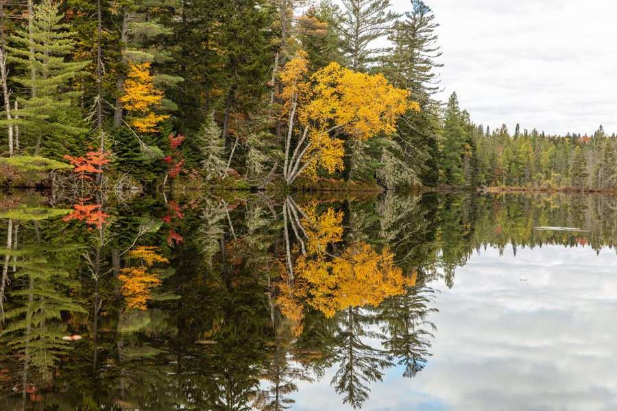 saranac river