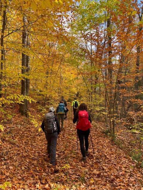 broughton ledges woods walk