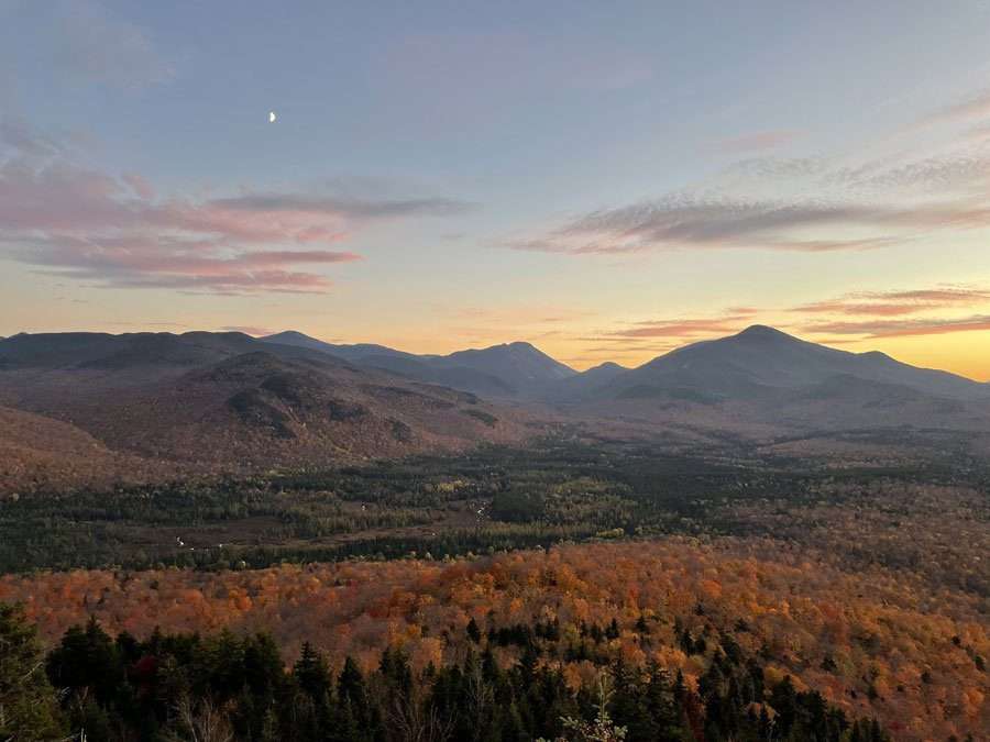 fall foliage