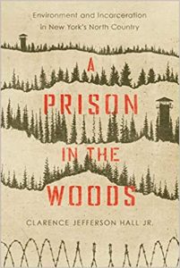 prison in the woods book cover