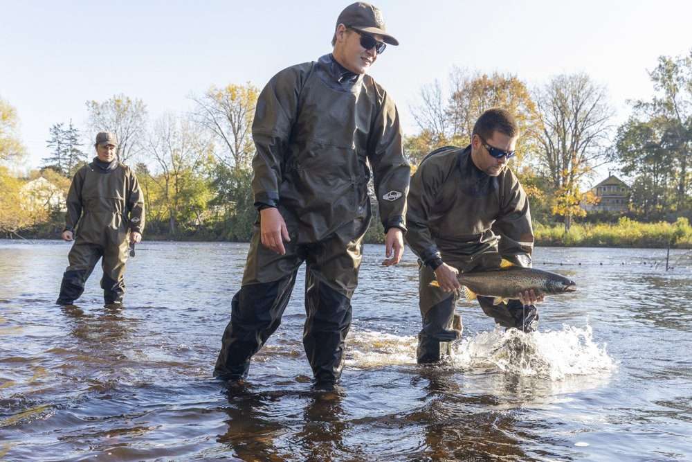 A U.S. Fish and Wildlife crew puts a salmon back into the Saranac River after getting a DNA sample and measurement in 2021. The service along with conservation groups are hoping that dam upgrades and clean ups will allow salmon to eventually reproduce naturally in the river. Photo by Mike Lynch