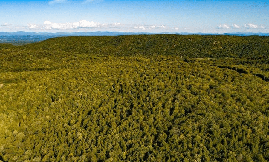 OSI Warren County land purchase