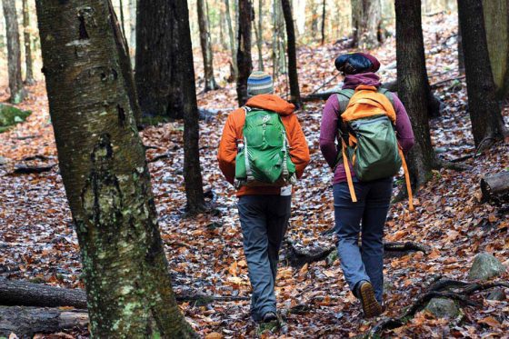 Celebrating 100 years: The Adirondacks’ Northville-Placid Trail legacy