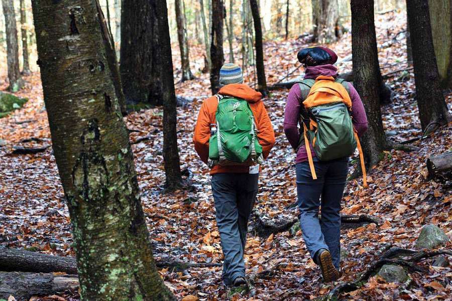 northville placid trail