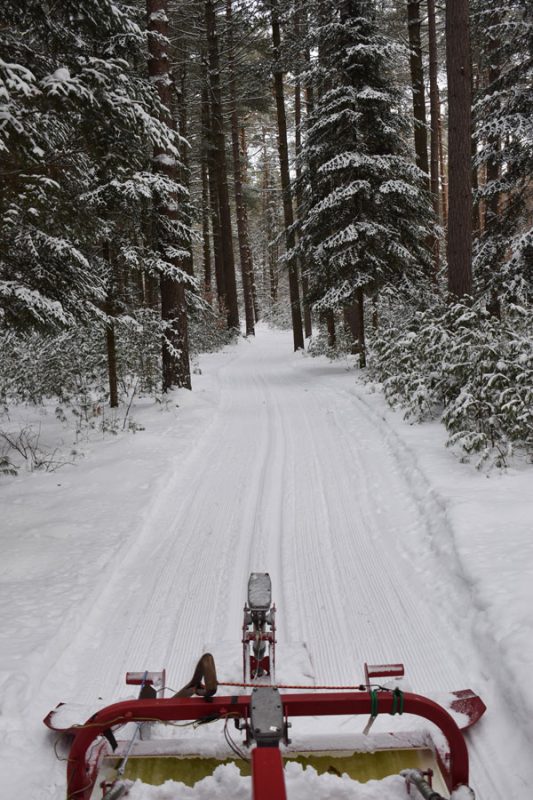 groomer at higley